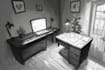 draw black and white illustrations