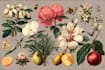 paint excellent fantastic botanical fruit art