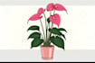 draw botanical illustrations of flowers and plants