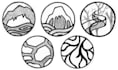 create pictograms or patterns