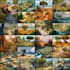 illustrate environments, landscapes, board game, concept art