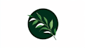 design botanical hand drawn logo