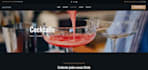 create a responsive custom landing page in bootstrap5