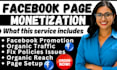complete facebook page monetization set up and fix all policy issues