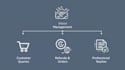 provide professional email support for startups and brands