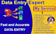 data entry expert and web research
