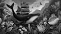 draw black and white illustrations