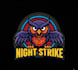 do a owl mascot logo with t shirt design