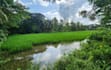 prepare photos of rural bangladesh