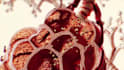create professional 3d medical animation video and moa explainer