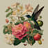 illustrate best botanical illustration