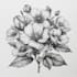 illustrate best botanical illustration
