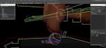 non humanoid 3d rigging, biped rig, shapekeys, biomech rig, auto rig pro,accurig