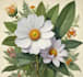 draw a botanical illustration