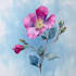 design best botanical illustration