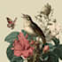 illustrate unique botanical illustrations