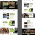 build gohighlevel funnels, automation workflows, and ghl websites