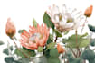 make botanical illustrations of flowers, plants