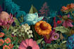 illustrate best botanical illustration