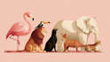 draw animals cartoon illustration