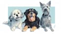 draw disney pet portrait illustration