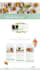 build mobile responsive wordpress website design