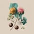 illustrate best botanical illustration