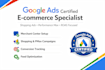 run profitable google shopping and performance max ads for ecommerce