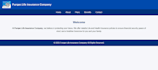 making a website using HTML, CSS, and javascript