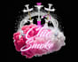 do unique luxury, mobile hookah, glam and  hookah logo