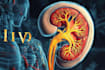create medical and scientific illustrations
