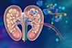 design scientific, medical, educational illustration