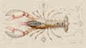 do medical and scientific illustrations