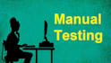 do manual testing on web applications