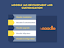set up moodle and customize plugins, themes