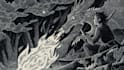 create artistic linocut illustration with fast delivery