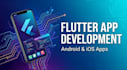 develop a professional flutter mobile app with firebase backend