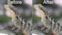improve, upscale, denoise, and enhance your video