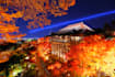 create your japan plan with local