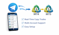 create trade copier telegram signal for mt4 mql4 mt5 mql5 match trader