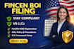 file your fincen boi report for US llcs to stay cta compliant