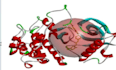 do molecular docking of ligands with target proteins