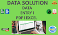do data entry, copy paste, web research, PDF to excel