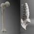 create anatomically accurate 3d printable medical models