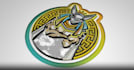 create a professional 3d extrusion logo intro animation