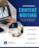 write high quality SEO blog posts and articles for your bussiness