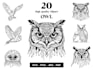create hand drawn owl king logo