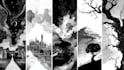 draw black and white illustrations