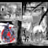 comic book artist comic illustration graphic novel