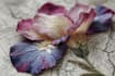 embroider your imagination into fabric